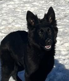 Longcoat Udo x Jessi Female