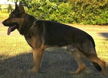 SG Lord vom Gleisdreieck 