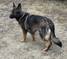 Brendy Von Der Lindenallee