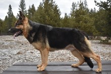 Ultraviolet von Granville 