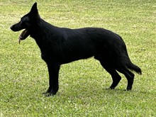 Uso vom Kaditzer Land