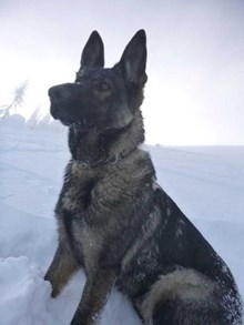 Zenzi Gunnhild Von Lamp